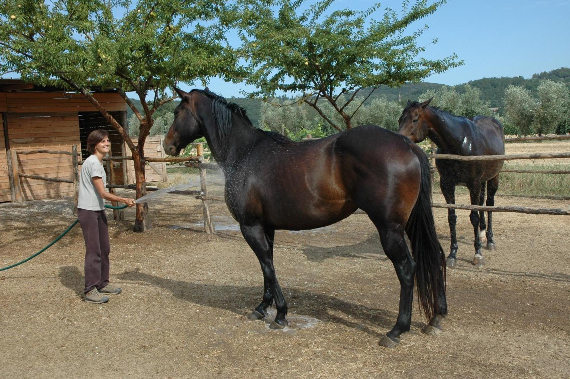 סוברטו Agriturismo Le Piane Del Milia מראה חיצוני תמונה