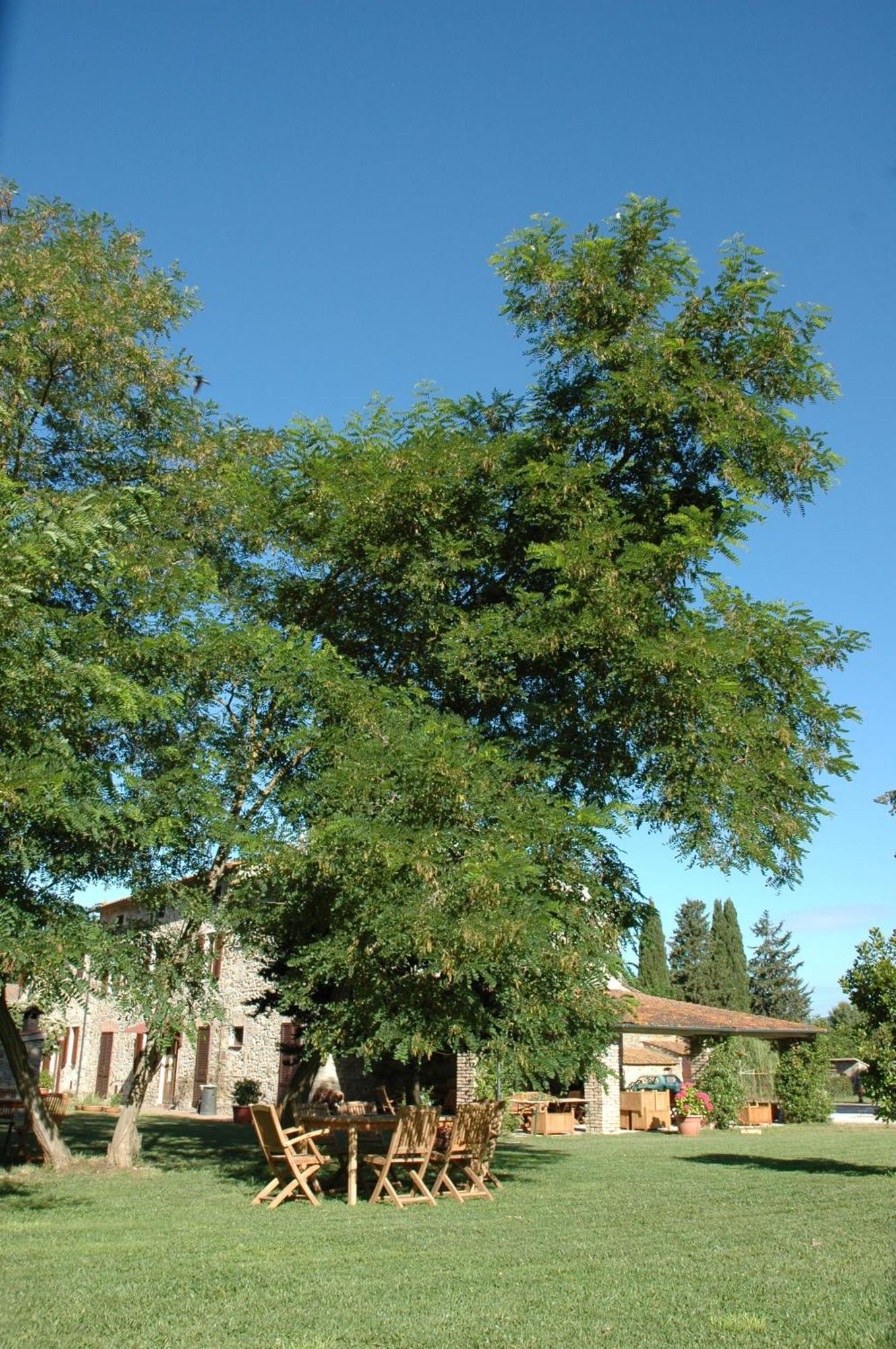 סוברטו Agriturismo Le Piane Del Milia מראה חיצוני תמונה